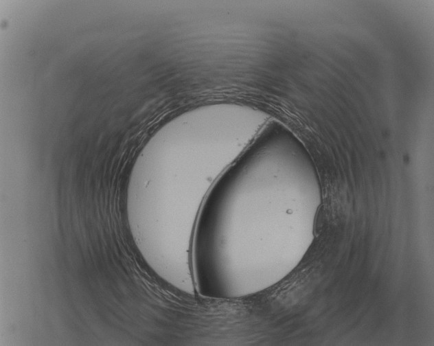 X0000068821058200605121310