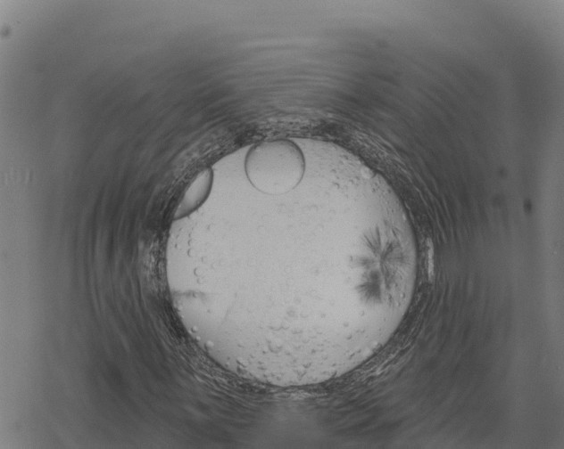 X0000068821059200605121310