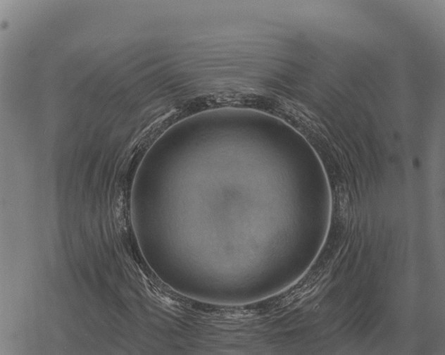 X0000068821060200605121310