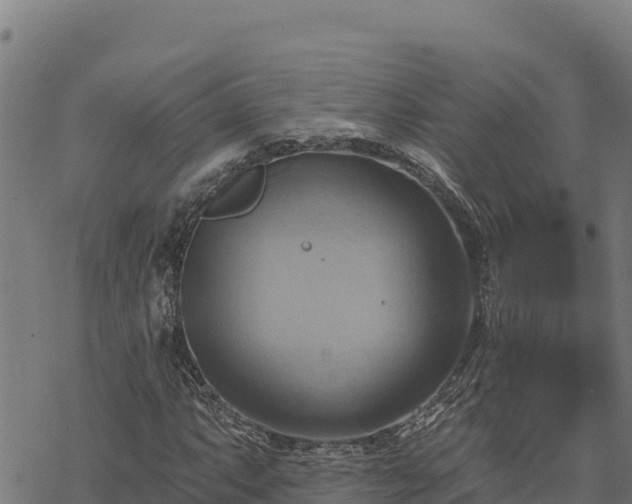 X0000068821063200605121310