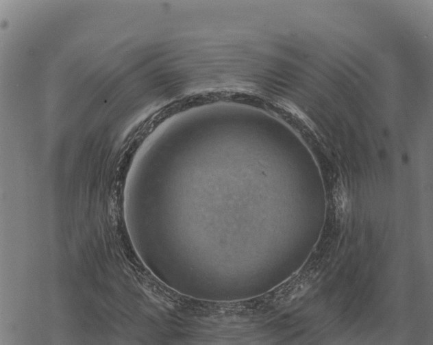 X0000068821064200605121310