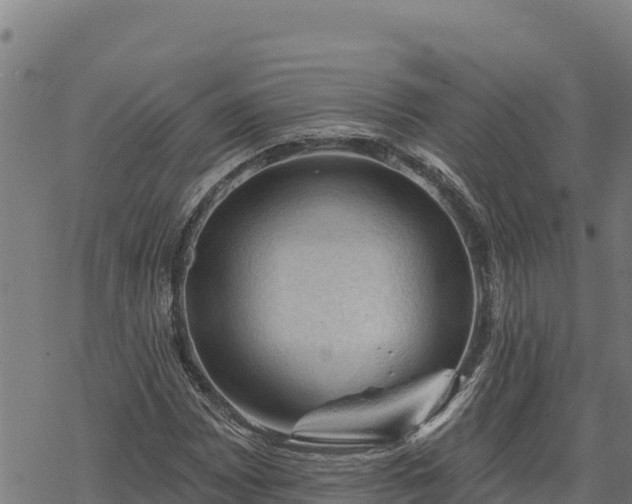 X0000068821065200605121310