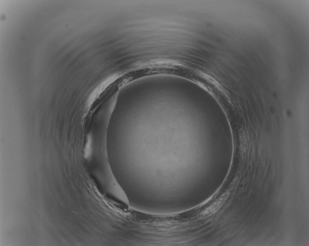 X0000068821066200605121310