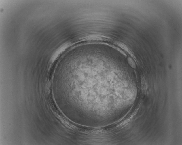 X0000068821067200605121310