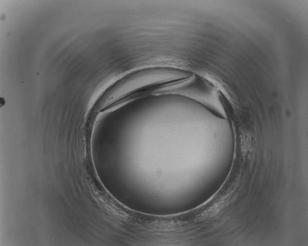 X0000068821069200605121310