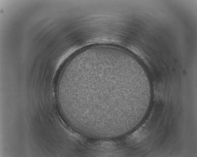 X0000068821070200605121310