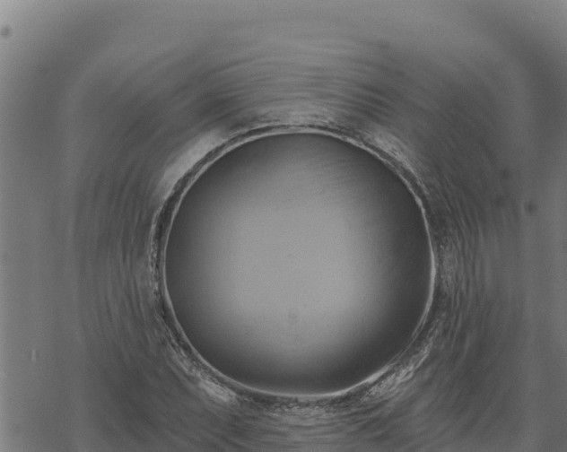 X0000068821071200605121310