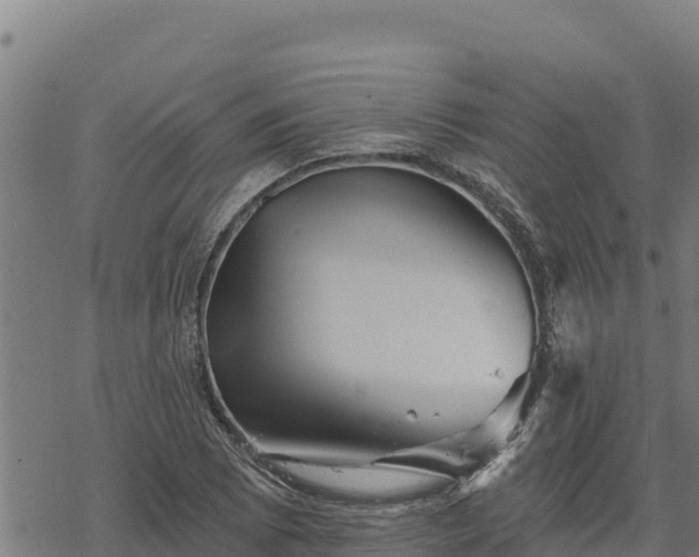 X0000068821073200605121310