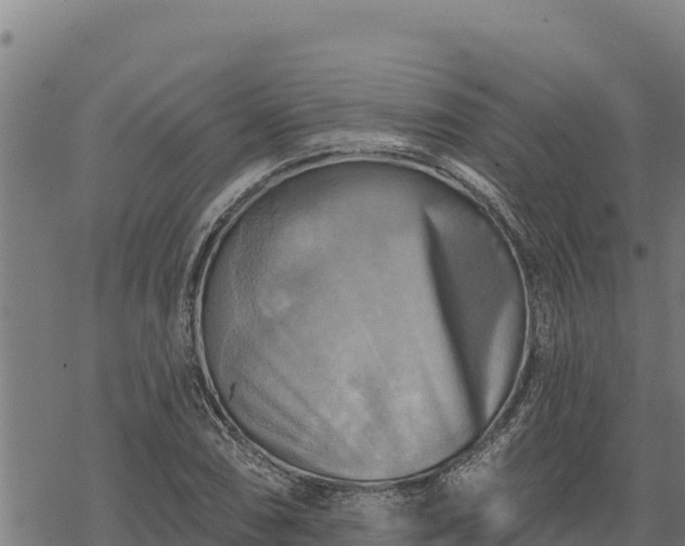 X0000068821074200605121310