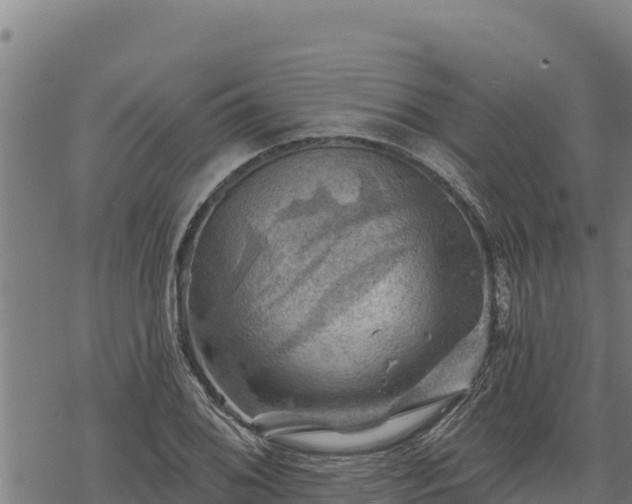 X0000068821076200605121310