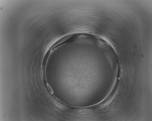 X0000068821077200605121310