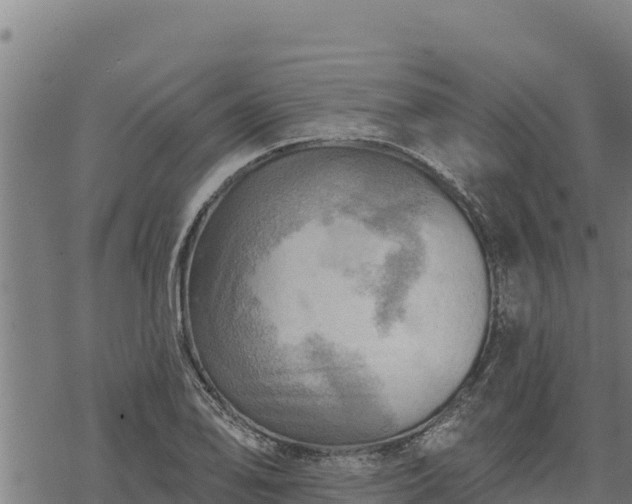 X0000068821078200605121310