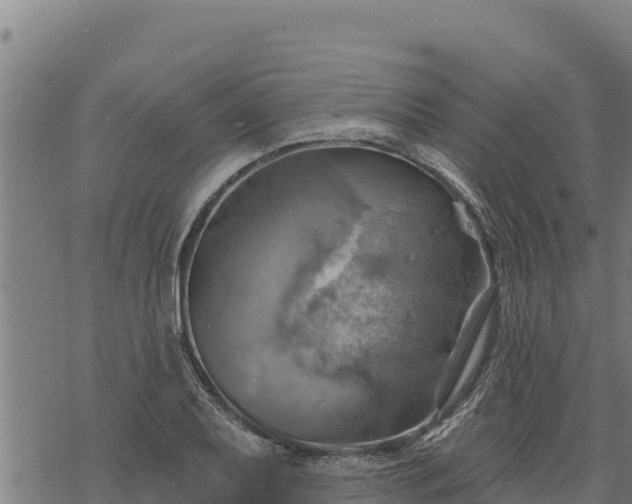 X0000068821079200605121310