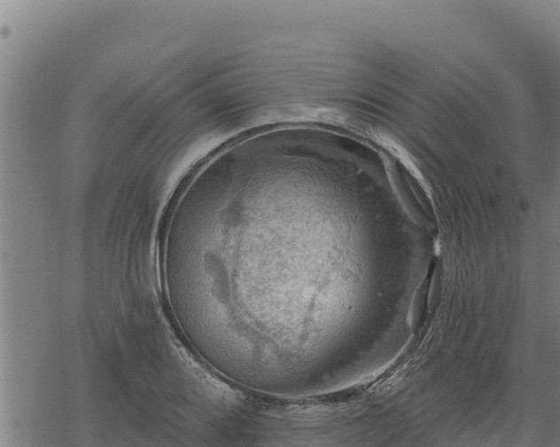 X0000068821080200605121310