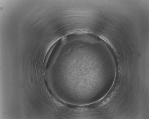 X0000068821081200605121310