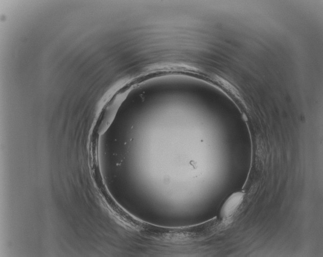 X0000068821082200605121310