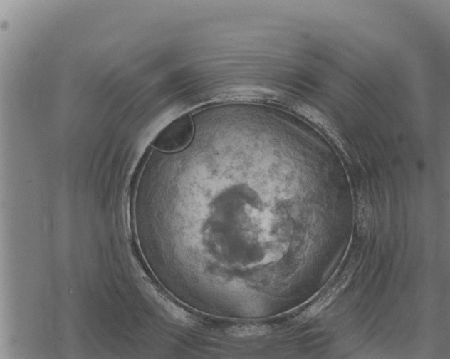 X0000068821083200605121310