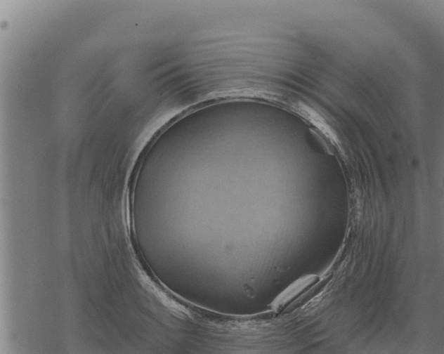 X0000068821084200605121310