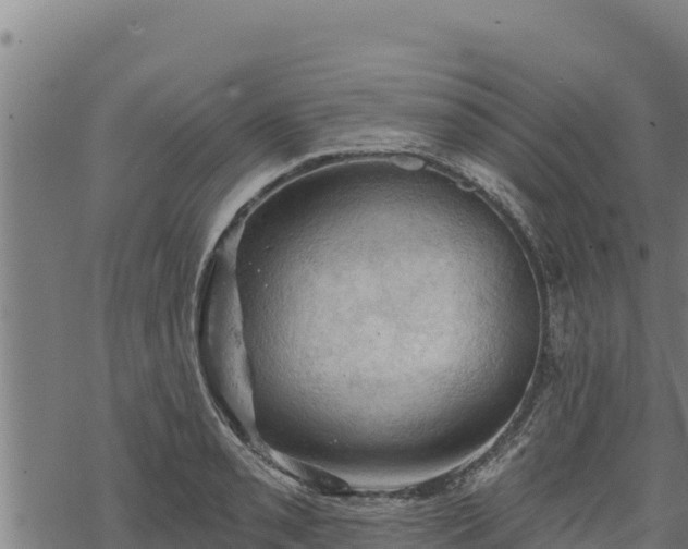 X0000068821085200605121310