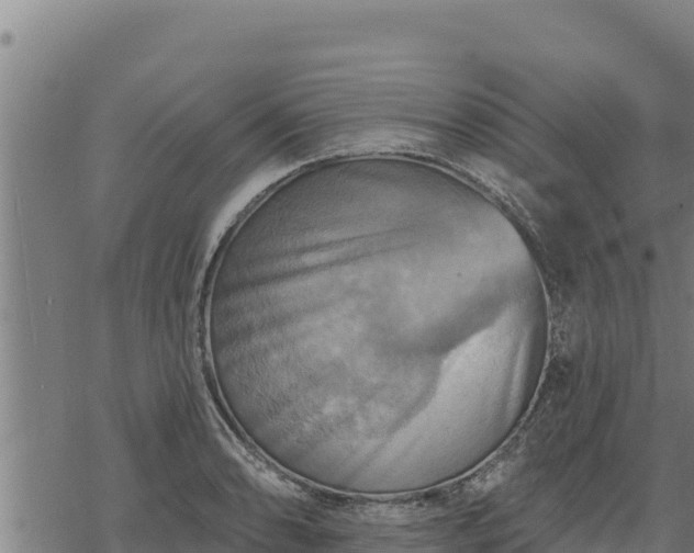 X0000068821086200605121310