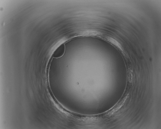 X0000068821087200605121310