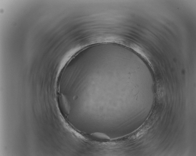 X0000068821088200605121310