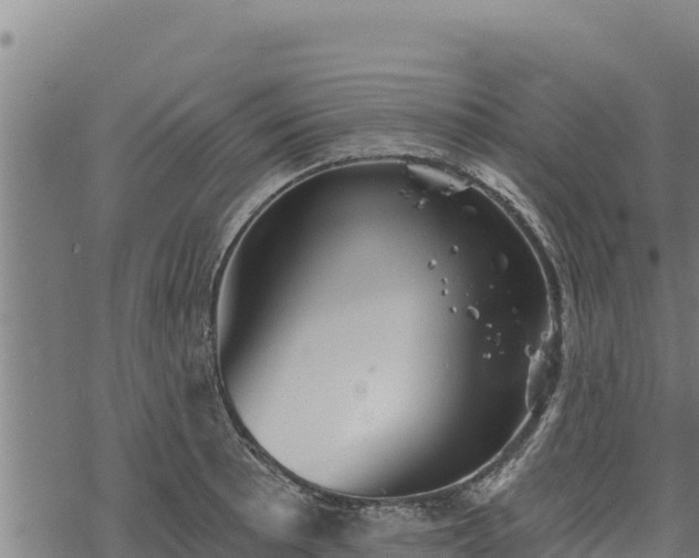 X0000068821089200605121310