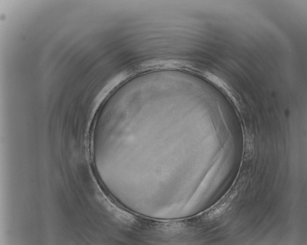 X0000068821090200605121310