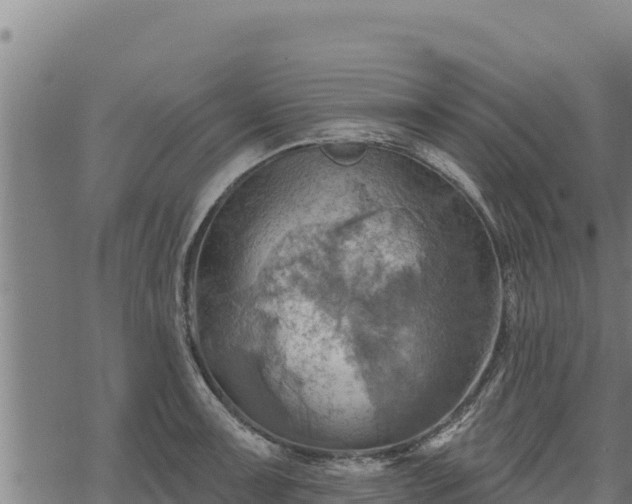 X0000068821091200605121310