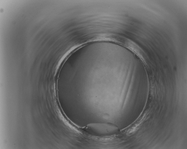 X0000068821092200605121309