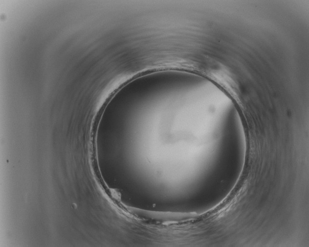 X0000068821093200605121309