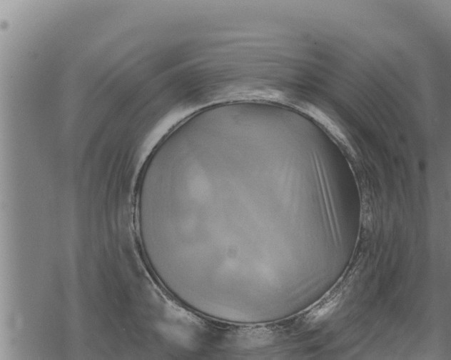 X0000068821094200605121309