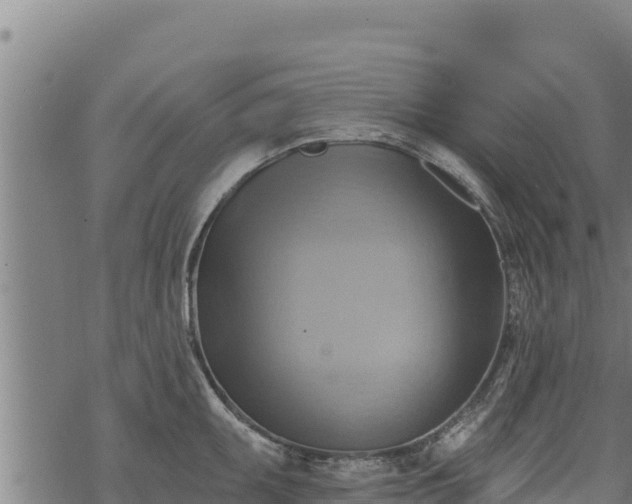 X0000068821095200605121309