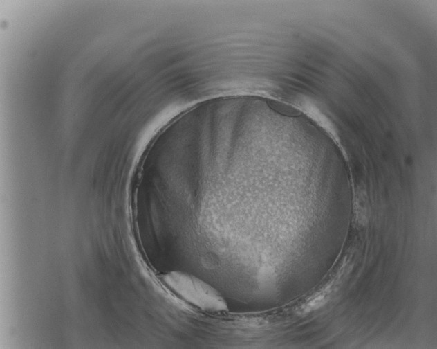 X0000068821096200605121309