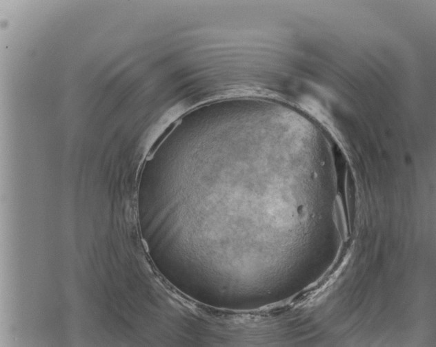 X0000068821097200605121309