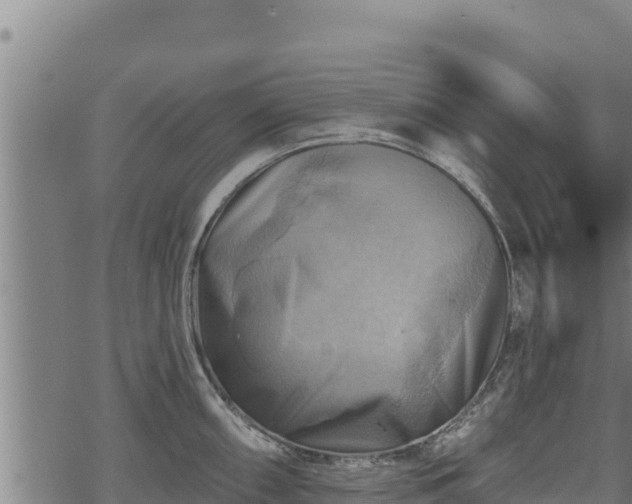 X0000068821098200605121309