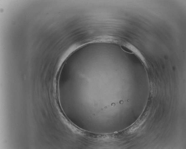 X0000068821099200605121309