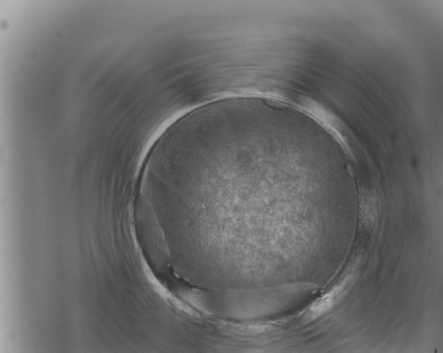 X0000068821100200605121309