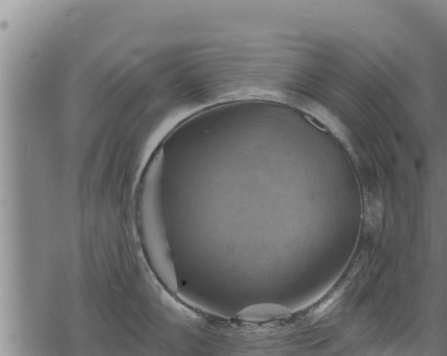 X0000068821102200605121309