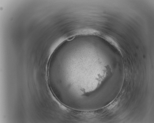 X0000068821103200605121309