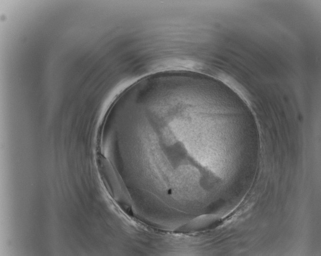 X0000068821104200605121309