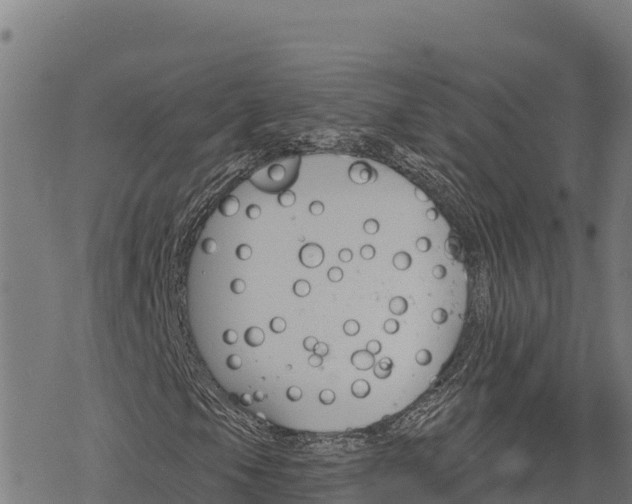 X0000068821105200605121309