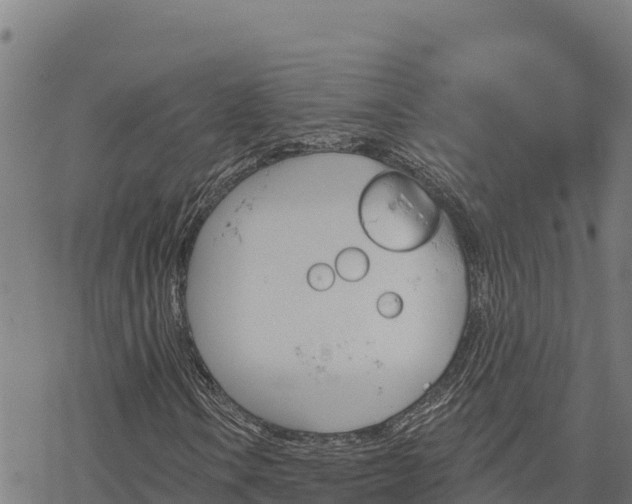 X0000068821106200605121309