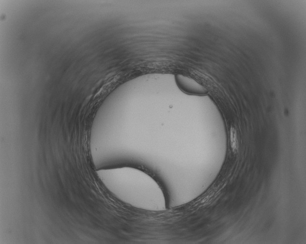 X0000068821107200605121309