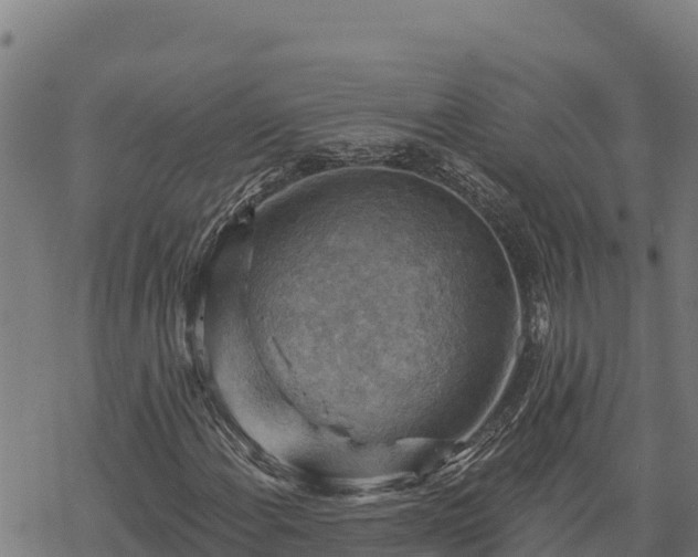 X0000068821108200605121309