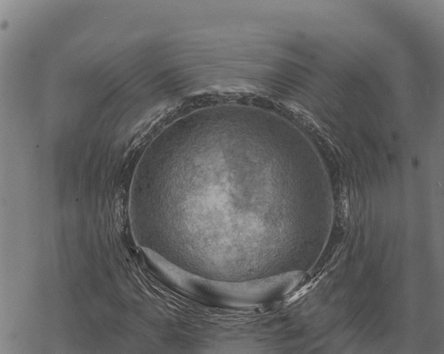 X0000068821110200605121309