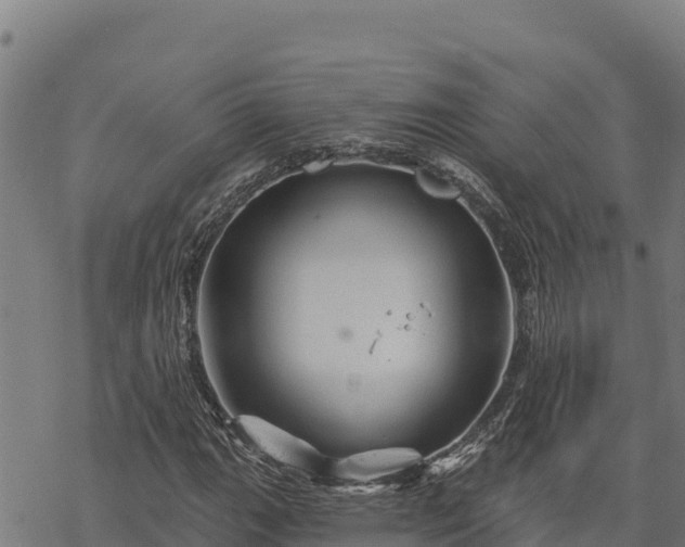 X0000068821111200605121309