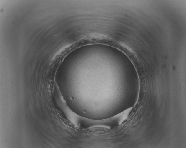 X0000068821112200605121309