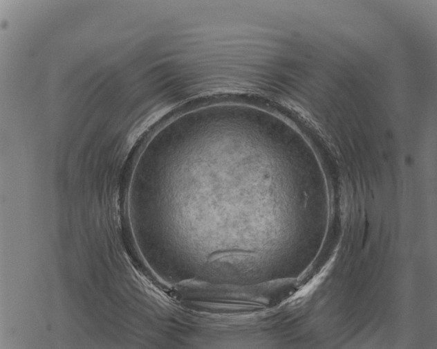 X0000068821113200605121309