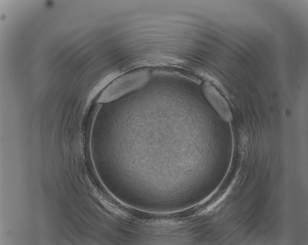 X0000068821114200605121309